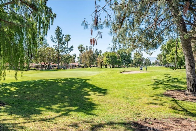view of community with a lawn