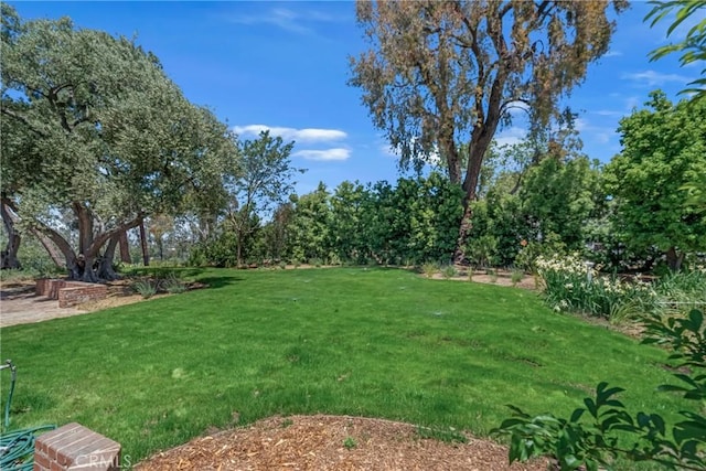 view of green lawn