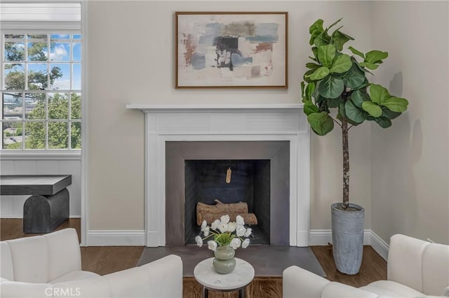 detailed view of wood finished floors, a fireplace, and baseboards