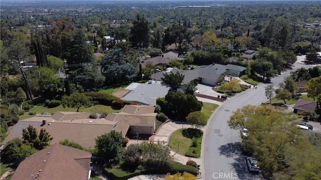 1960 Liliano Dr, Sierra Madre, CA 91024 - photo 24