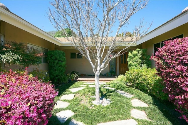 1960 Liliano Dr, Sierra Madre, CA 91024 - photo 12
