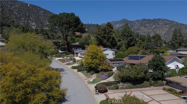 1960 Liliano Dr, Sierra Madre, CA 91024 - photo 25