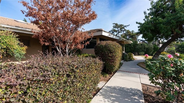 1960 Liliano Dr, Sierra Madre, CA 91024 - photo 6