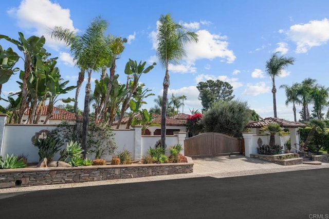 view of front of home with a gate and a fenced front yard