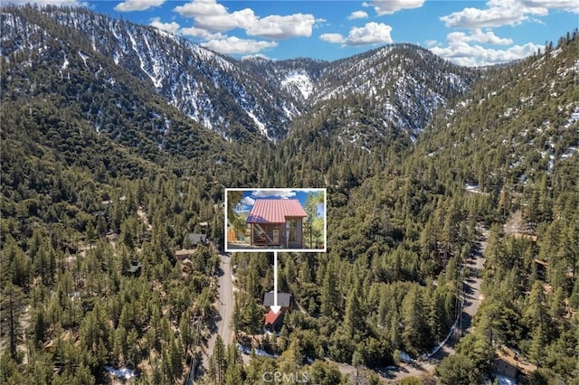 1517 Woodland Dr, Pine Mountain Club, CA 93222 - mountain view with a heavily wooded area