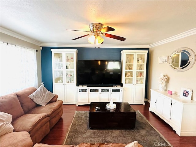 2506 W Pomona St, Santa Ana, CA 92704 - photo 10
