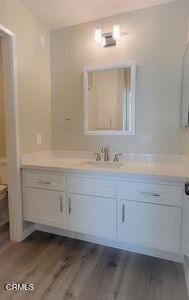 bathroom featuring vanity and wood finished floors