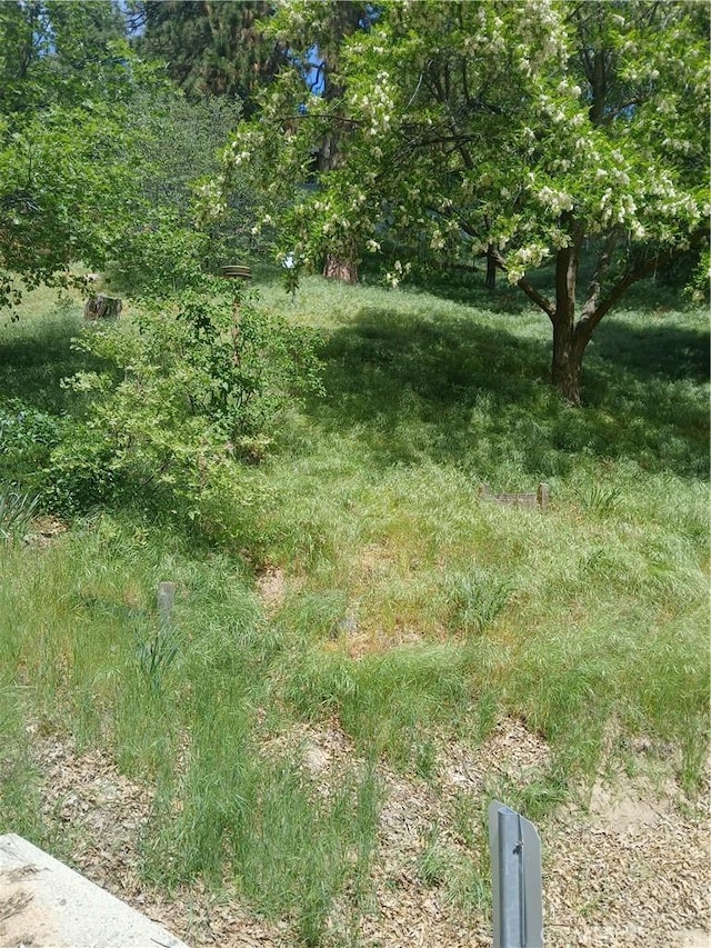 0 Davos, Crestline, CA 92325