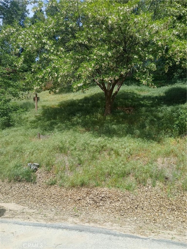 0 Davos, Crestline, CA 92325