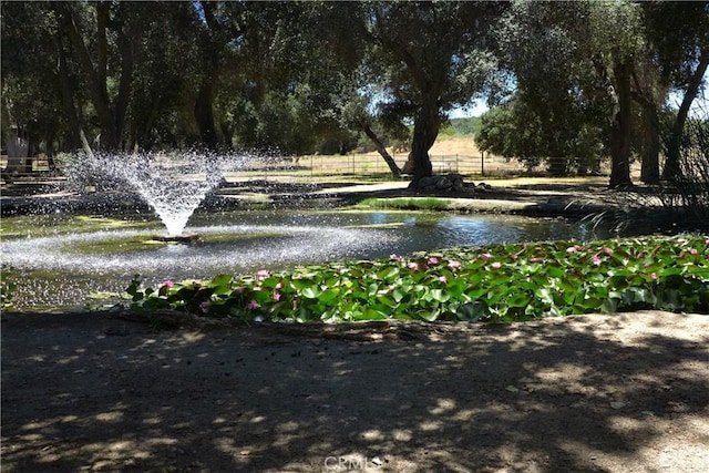 29972 Chihuahua Valley Rd, Warner Springs, CA 92086 - photo 20
