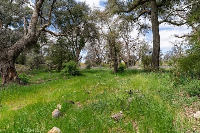 29972 Chihuahua Valley Rd, Warner Springs, CA 92086 - photo 3