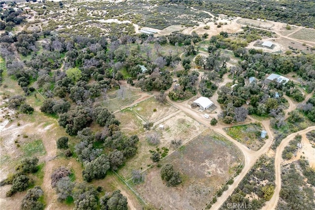 29972 Chihuahua Valley Rd, Warner Springs, CA 92086 - photo 53