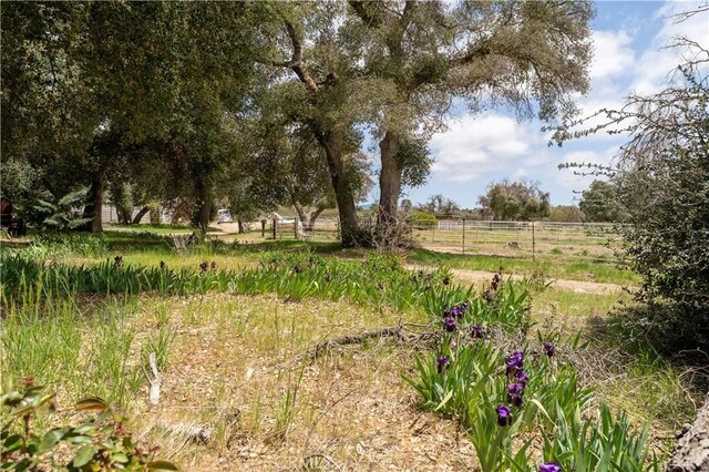 29972 Chihuahua Valley Rd, Warner Springs, CA 92086 - photo 22