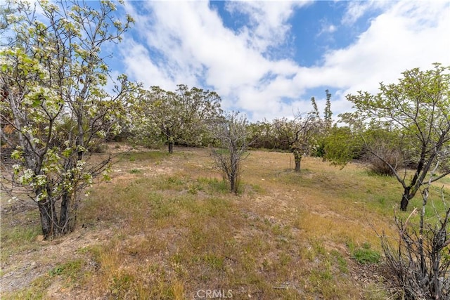 29972 Chihuahua Valley Rd, Warner Springs, CA 92086 - photo 43