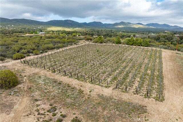 29972 Chihuahua Valley Rd, Warner Springs, CA 92086 - photo 34