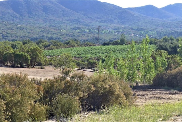 29972 Chihuahua Valley Rd, Warner Springs, CA 92086 - photo 33