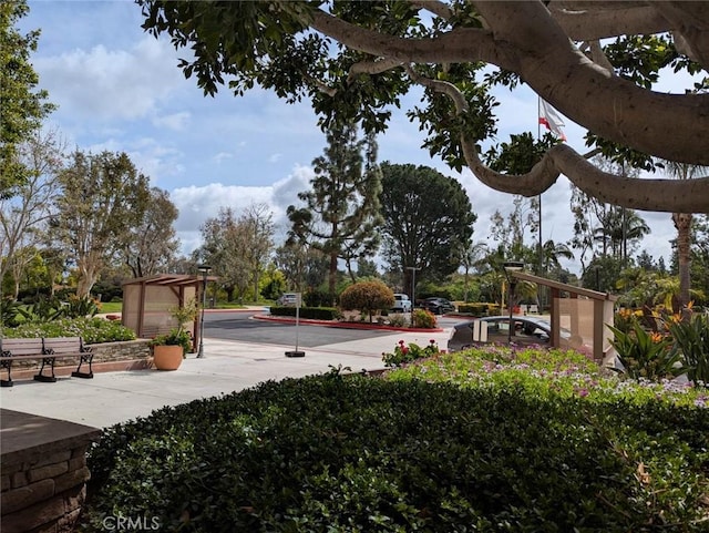 24055 Paseo Del Lago Unit 963, Laguna Woods, CA 92637 - view of street