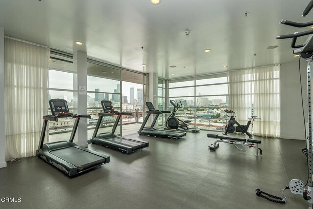 510 S Hewitt St Unit 106, Los Angeles, CA 90013 - gym with a wall of windows and a view of city