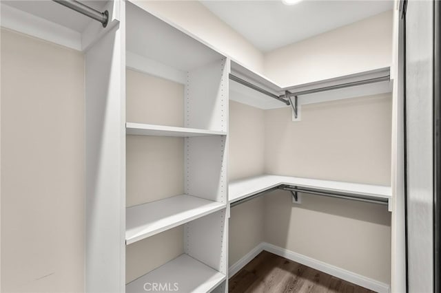 8244 Balsa Ave, Yucca Valley, CA 92284 - walk in closet with wood finished floors