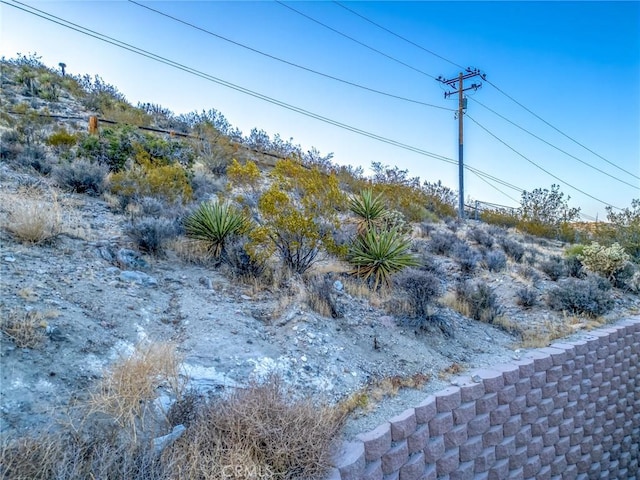 8244 Balsa Ave, Yucca Valley, CA 92284 - view of yard