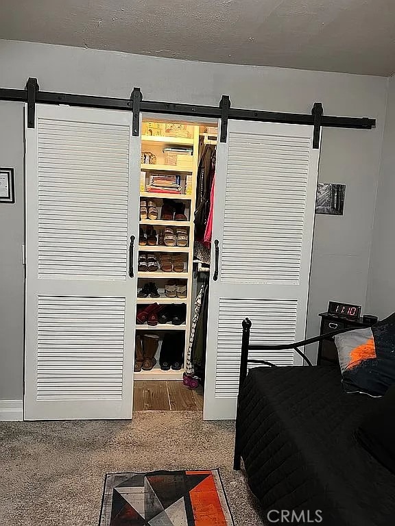 bedroom with a barn door