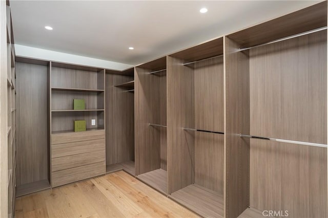 23262 Ellice Cir, Dana Point, CA 92629 - walk in closet with light wood-style flooring