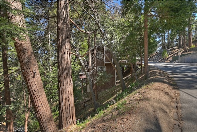 1027 Nesthorn Dr, Crestline, CA 92325 - view of side of home
