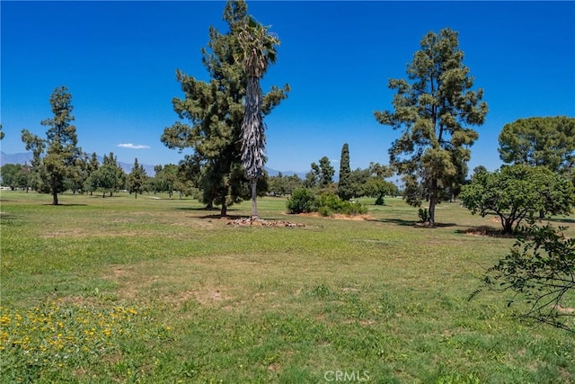 1188 Walnut Grove Ave Unit A, Rosemead, CA 91770 - view of grassy yard