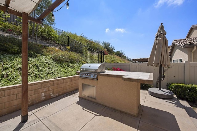 1797 Santa Christina Ave, Chula Vista, CA 91913 - fenced backyard with exterior kitchen and a patio