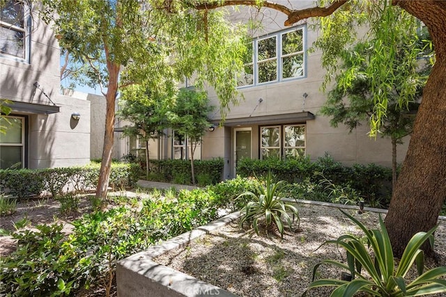 253 N Bush St, Santa Ana, CA 92701 - view of exterior entry featuring stucco siding