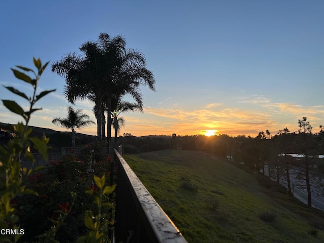 view of yard at dusk