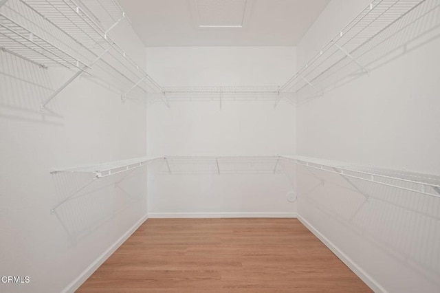 4078 Bending Oak Ct, Moorpark, CA 93021 - spacious closet with light wood-type flooring