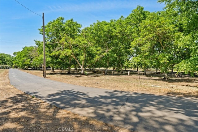 10508 Fimple Rd, Chico, CA 95928 - photo 49