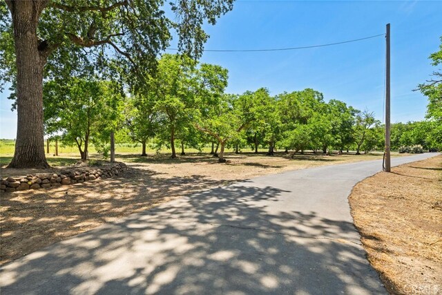 10508 Fimple Rd, Chico, CA 95928 - photo 48