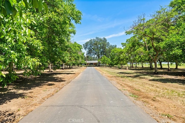 10508 Fimple Rd, Chico, CA 95928 - photo 2