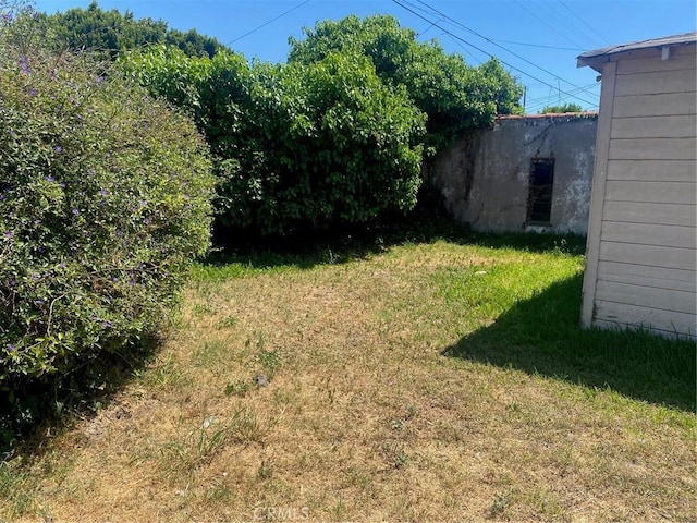 view of green lawn