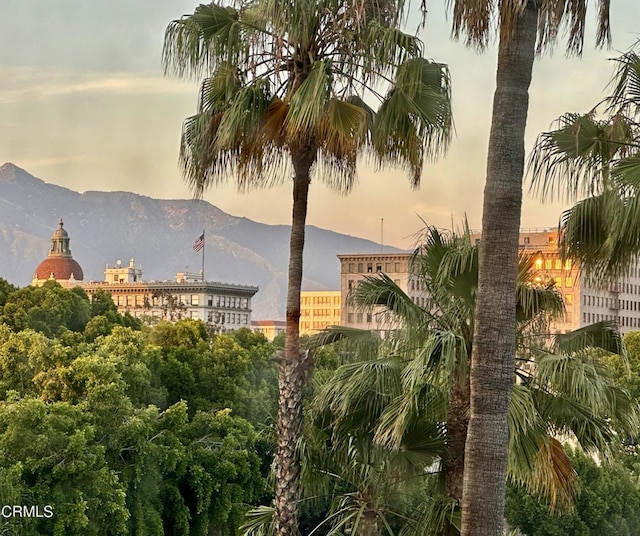 99 S Raymond Ave Unit 409, Pasadena, CA 91105 - view of mountain backdrop