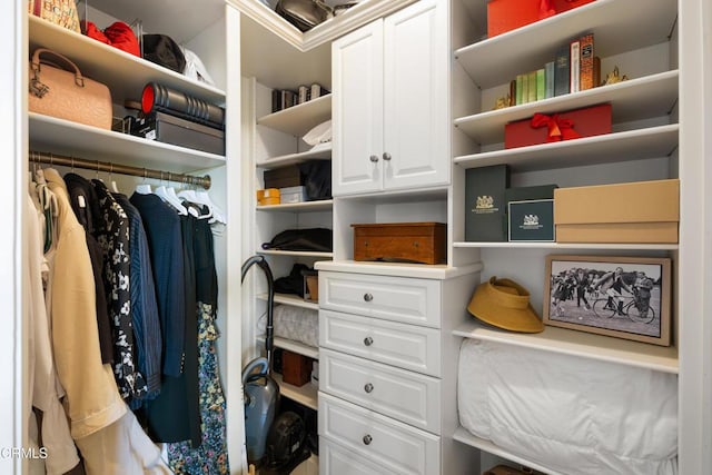 99 S Raymond Ave Unit 409, Pasadena, CA 91105 - view of spacious closet