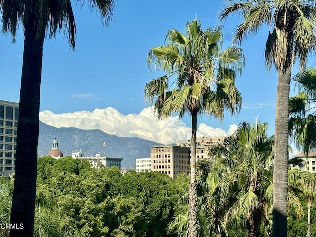 99 S Raymond Ave Unit 409, Pasadena, CA 91105 - mountain view