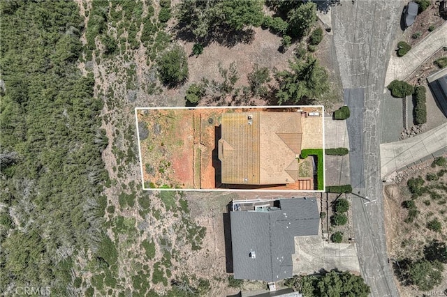 9102 Bannock Ct, Kelseyville, CA 95451 - photo 29