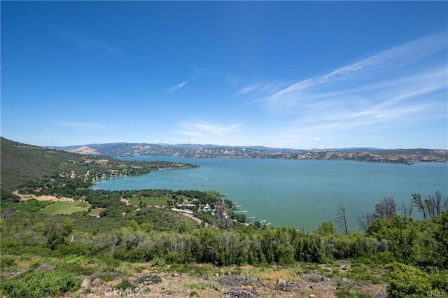 9102 Bannock Ct, Kelseyville, CA 95451 - photo 25