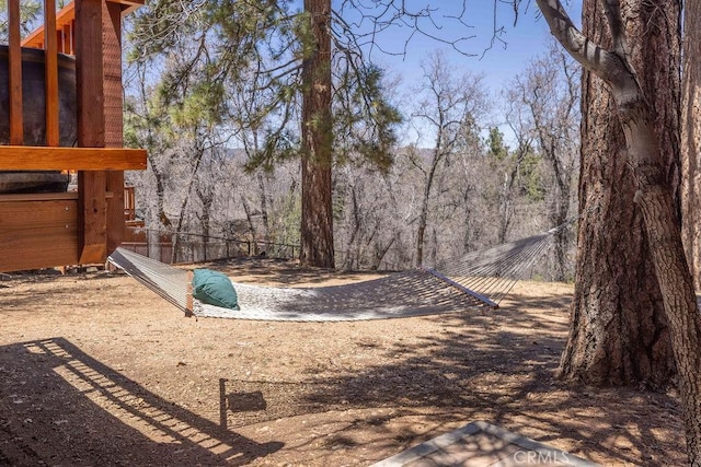 1240 Sheephorn Rd, Big Bear City, CA 92314 - photo 40