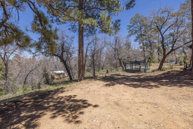 1240 Sheephorn Rd, Big Bear City, CA 92314 - photo 42