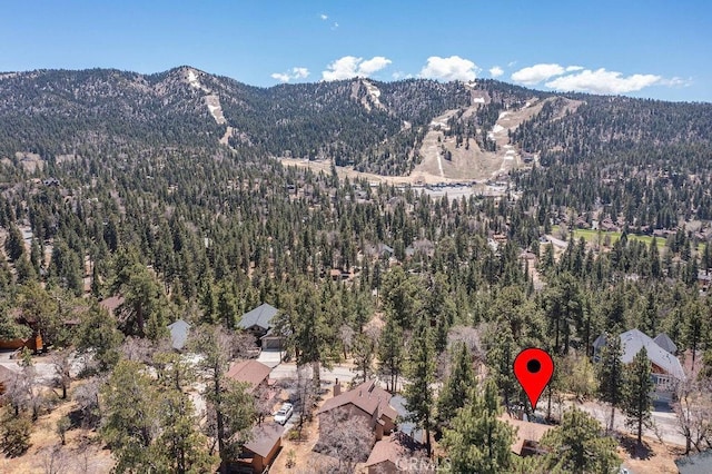 1240 Sheephorn Rd, Big Bear City, CA 92314 - photo 3