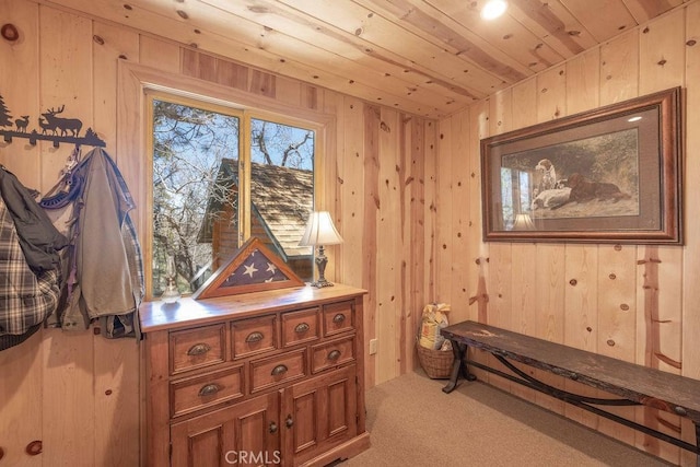1240 Sheephorn Rd, Big Bear City, CA 92314 - photo 29