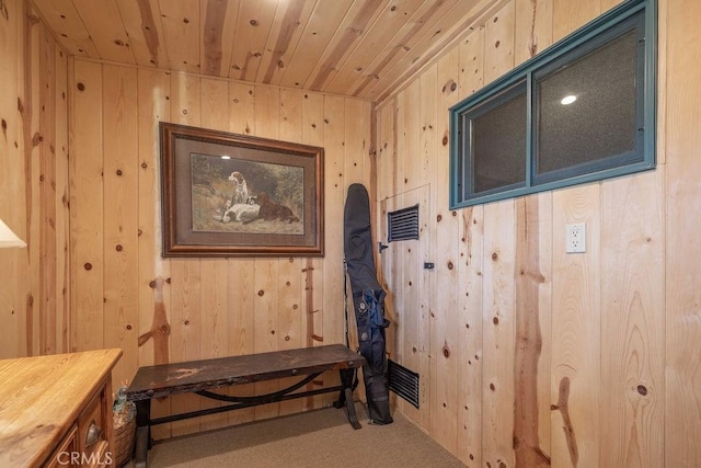 1240 Sheephorn Rd, Big Bear City, CA 92314 - photo 30
