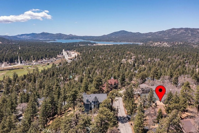 1240 Sheephorn Rd, Big Bear City, CA 92314 - photo 4