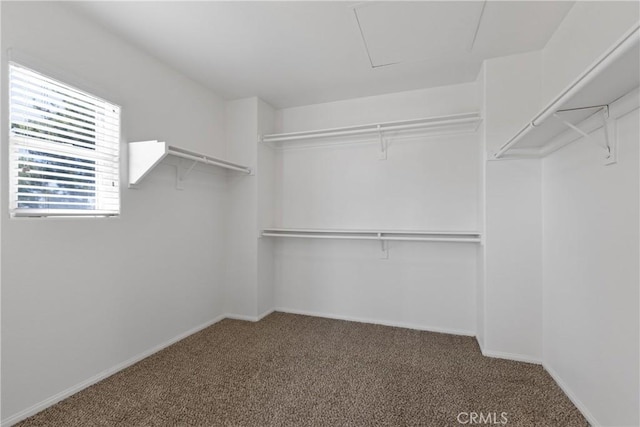 42631 Hussar Ct, Temecula, CA 92592 - walk in closet with carpet flooring
