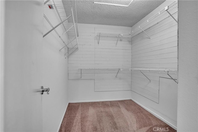 29331 Mawr Ct, Menifee, CA 92586 - walk in closet featuring carpet floors