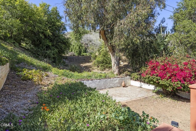 2371 Foster Ave, Ventura, CA 93001 - photo 52